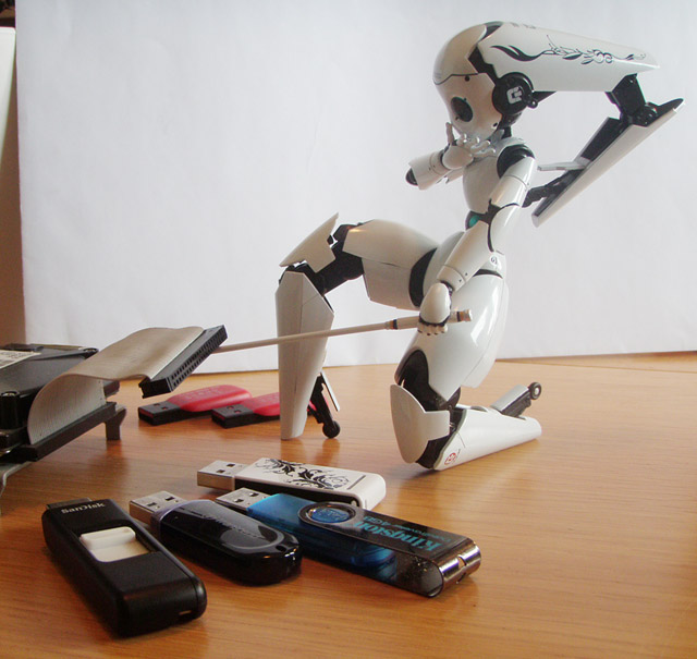 Drossel von Flugel.