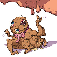 Star Control Umgah Hayes